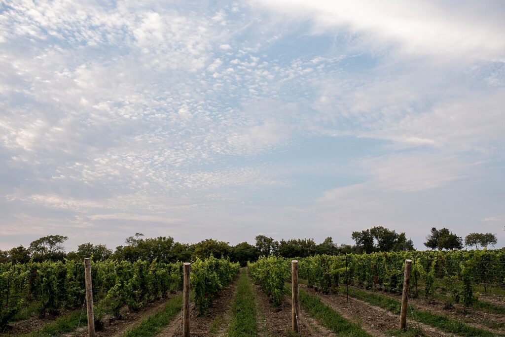 Prince Edward County photographer