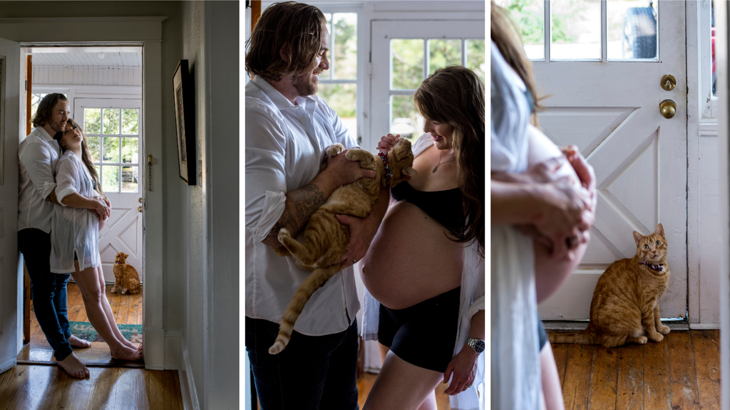 Maternity Photos with Cats